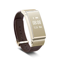 Huawei TalkBand B2 